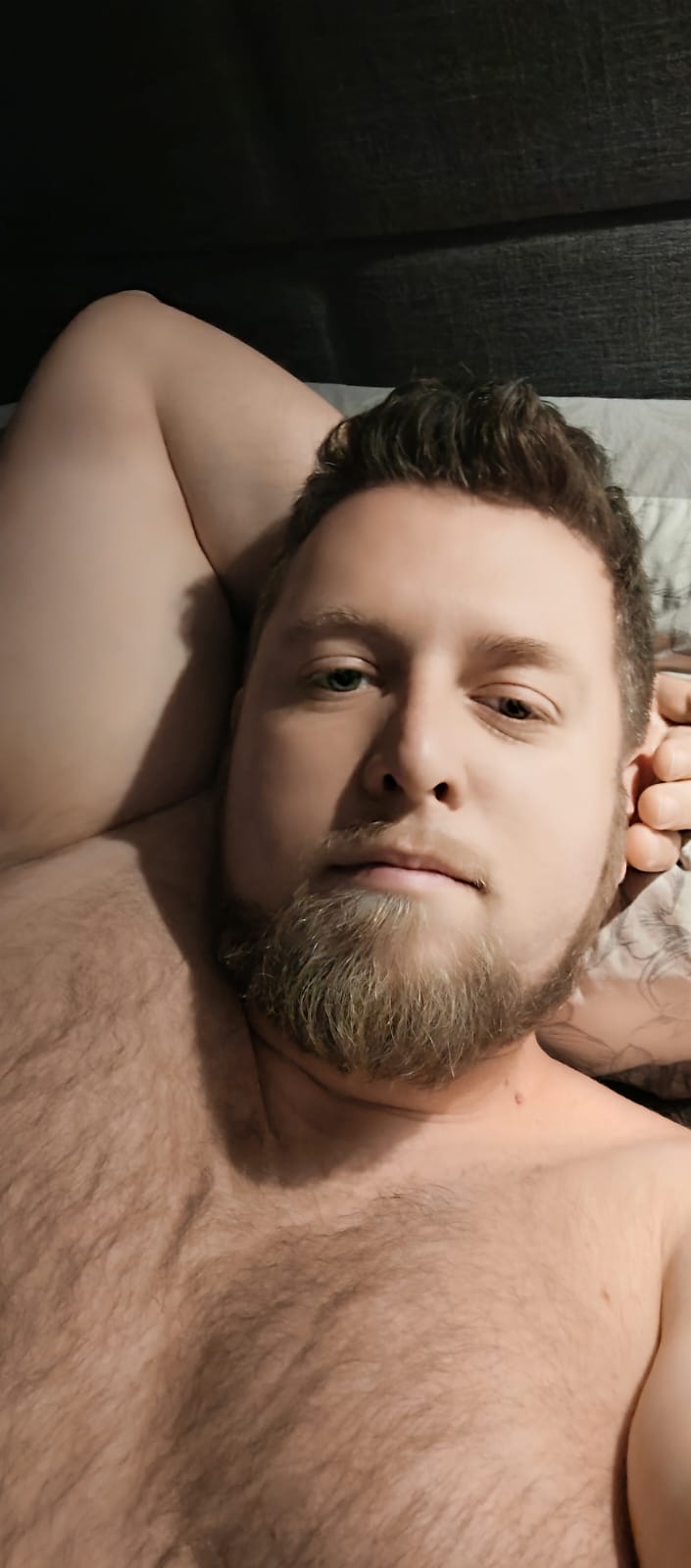 Profil de Ridge, 37 ans, Escort Gay Suisse à Le Château-de-Ste-Croix