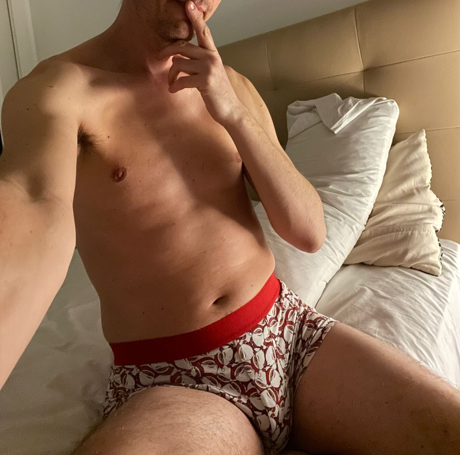 Profil de Melvyn, 40 ans, Escort Gay Suisse à Suscévaz