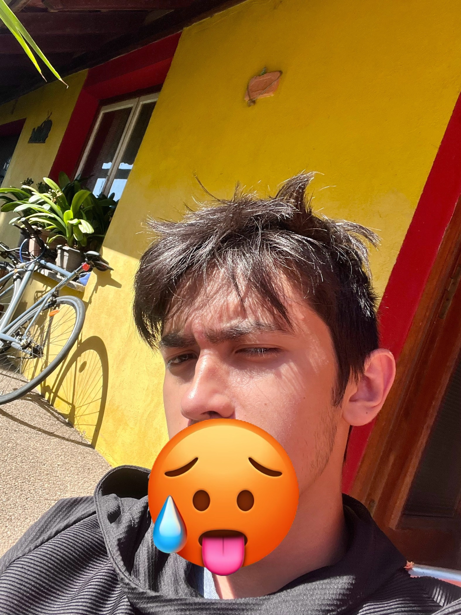 Profil de Bano, 21 ans, Escort Gay Suisse à Monible