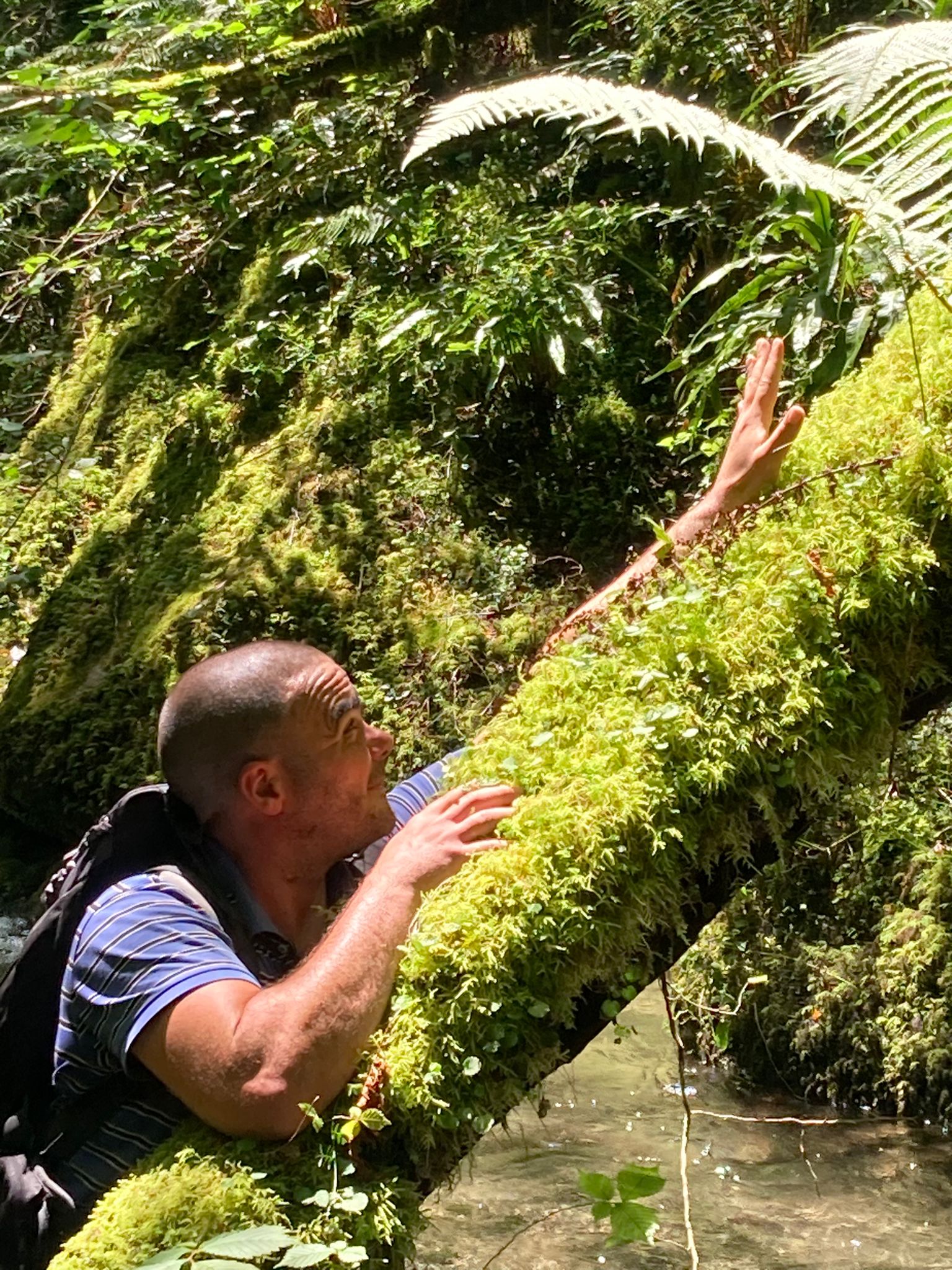 Profil de Merwan, 42 ans, Escort Gay Suisse à Schmitten (Albula)